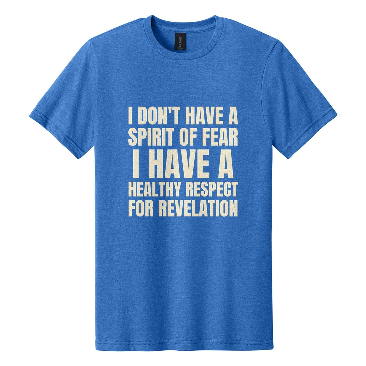 I Don't Have a Spirit of Fear. I Have a Healthy Respect for Revelation tee in Royal Mist, Anton font, Cream ink