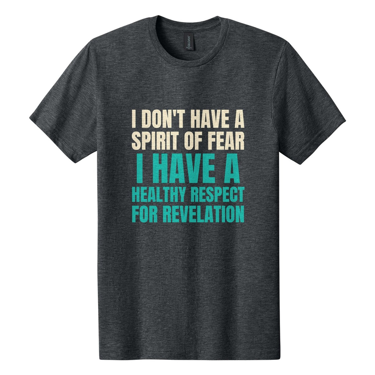 I Don't Have a Spirit of Fear. I Have a Healthy Respect for Revelation tee in Dark Heather, Anton font, Cream + Teal ink
