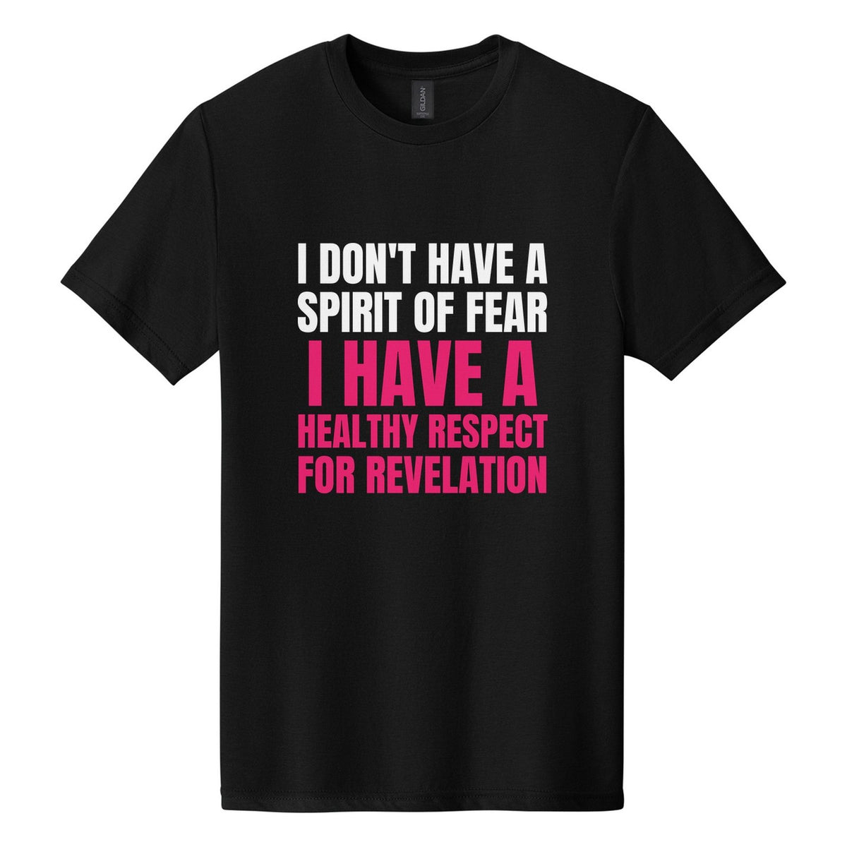 I Don't Have a Spirit of Fear. I Have a Healthy Respect for Revelation tee in Pitch Black, Anton font, White + Hot Pink ink