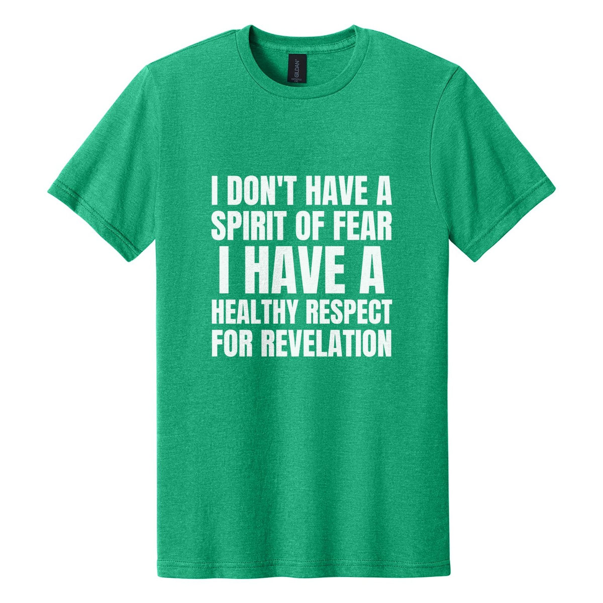 I Don't Have a Spirit of Fear. I Have a Healthy Respect for Revelation tee in Kelly Mist, Anton font, White ink