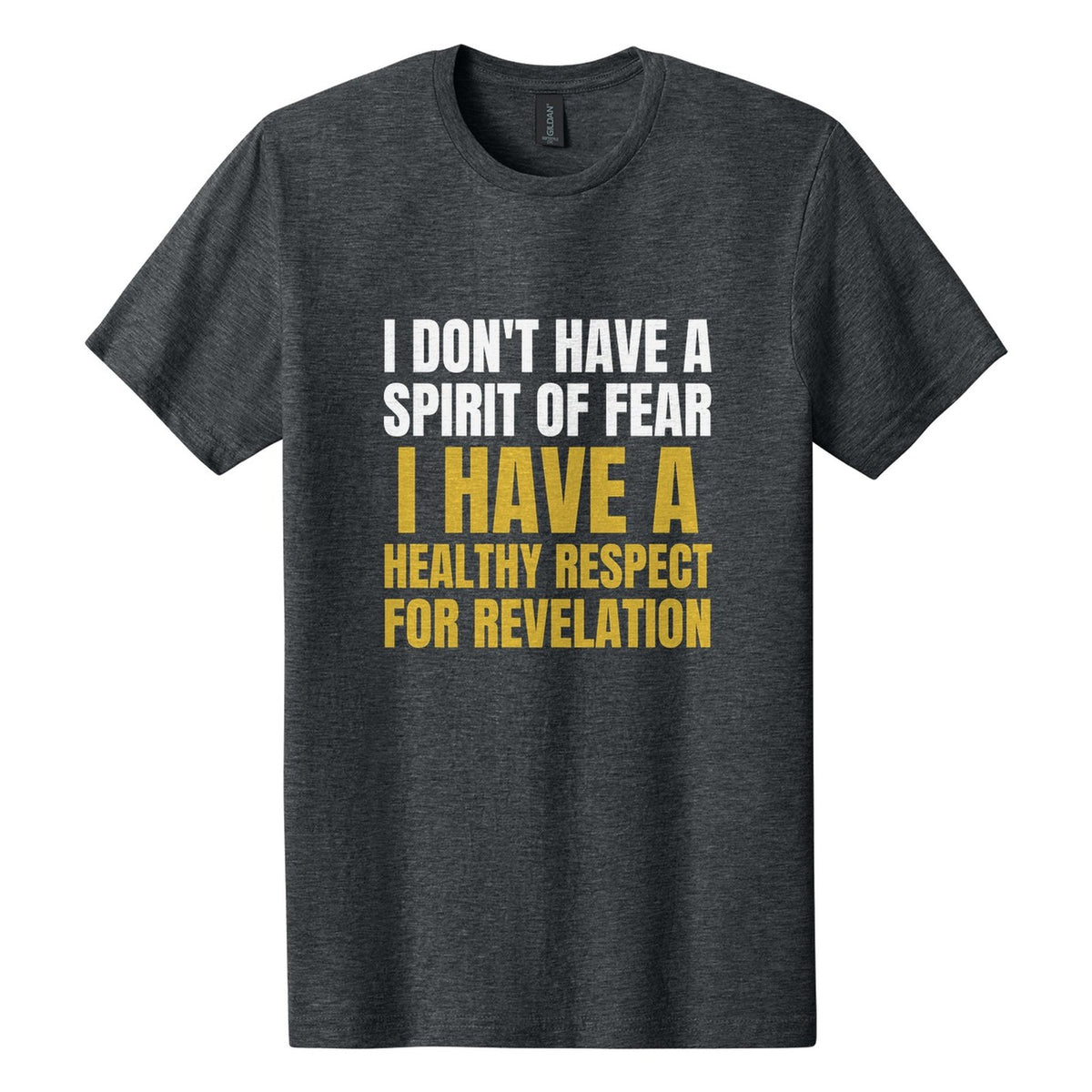 I Don't Have a Spirit of Fear. I Have a Healthy Respect for Revelation tee in Dark Heather, Anton font, White + Metallic Gold ink