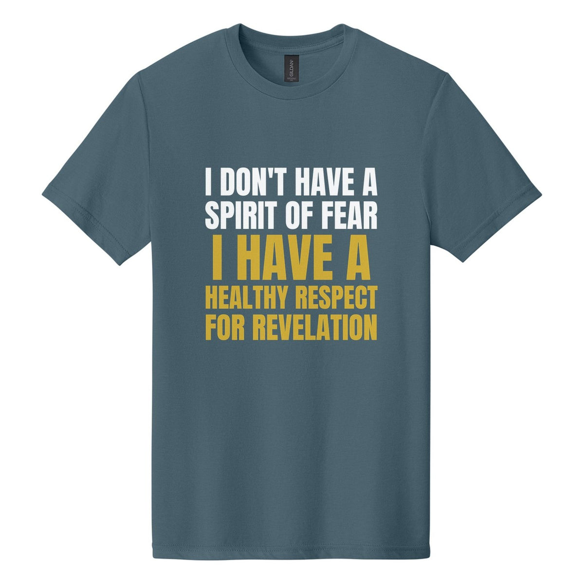 I Don't Have a Spirit of Fear. I Have a Healthy Respect for Revelation tee in Steel Blue, Anton font, White + Metallic Gold ink