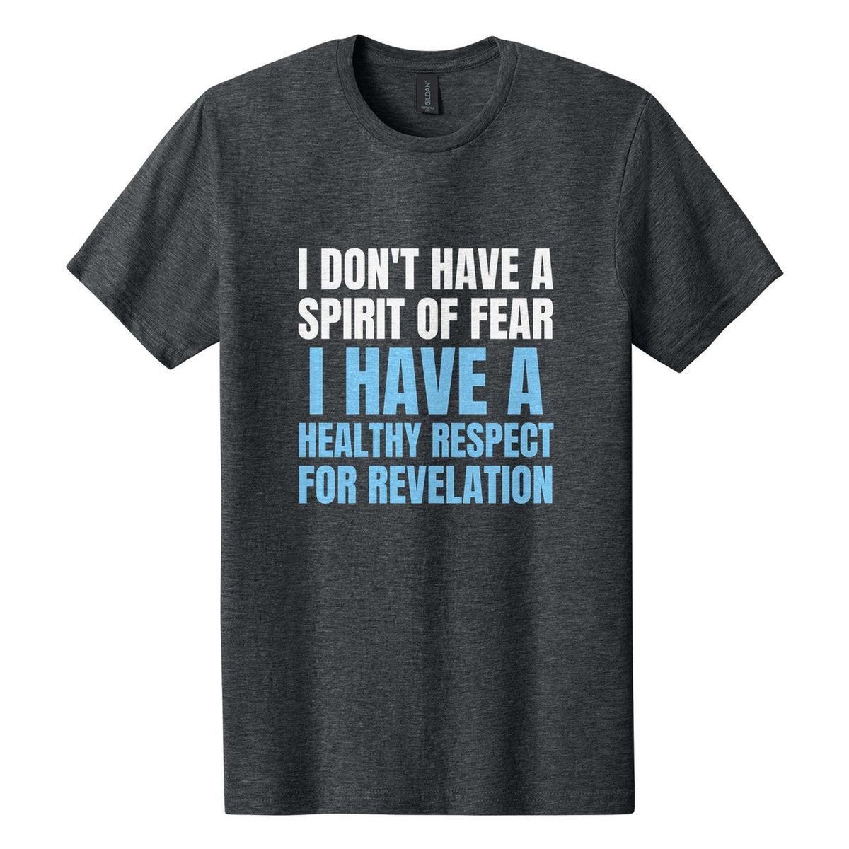 I Don't Have a Spirit of Fear. I Have a Healthy Respect for Revelation tee in Dark Heather, Anton font, White + Sky Blue ink