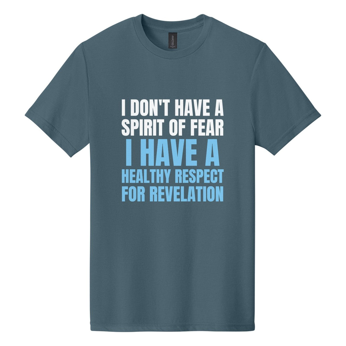I Don't Have a Spirit of Fear. I Have a Healthy Respect for Revelation tee in Steel Blue, Anton font, White + Sky Blue ink
