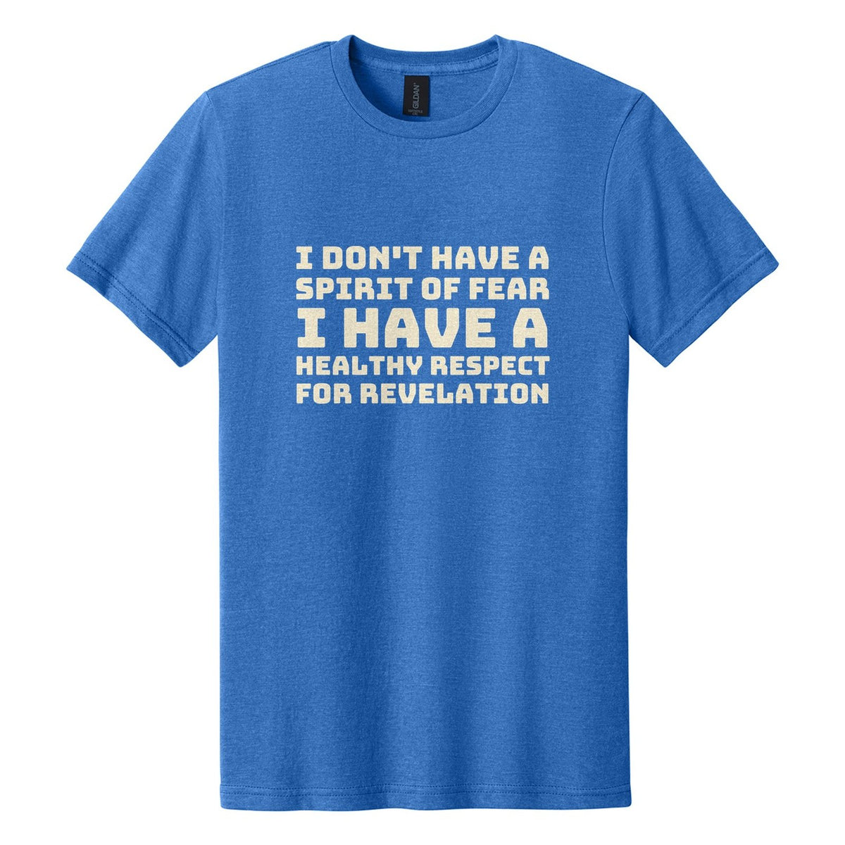 I Don't Have a Spirit of Fear. I Have a Healthy Respect for Revelation tee in Royal Mist, Bungee font, Cream ink