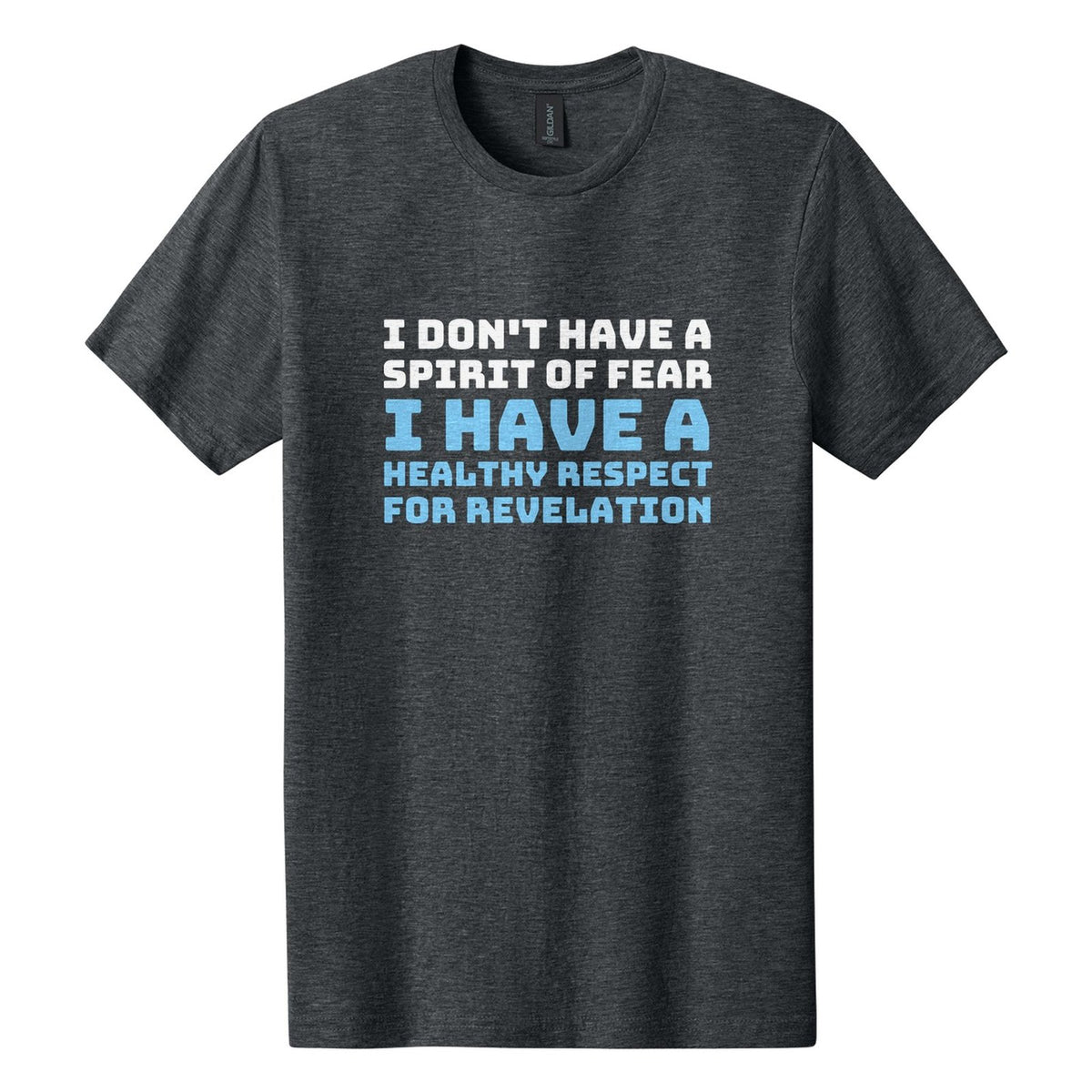 I Don't Have a Spirit of Fear. I Have a Healthy Respect for Revelation tee in Dark Heather, Bungee font, White + Sky Blue ink