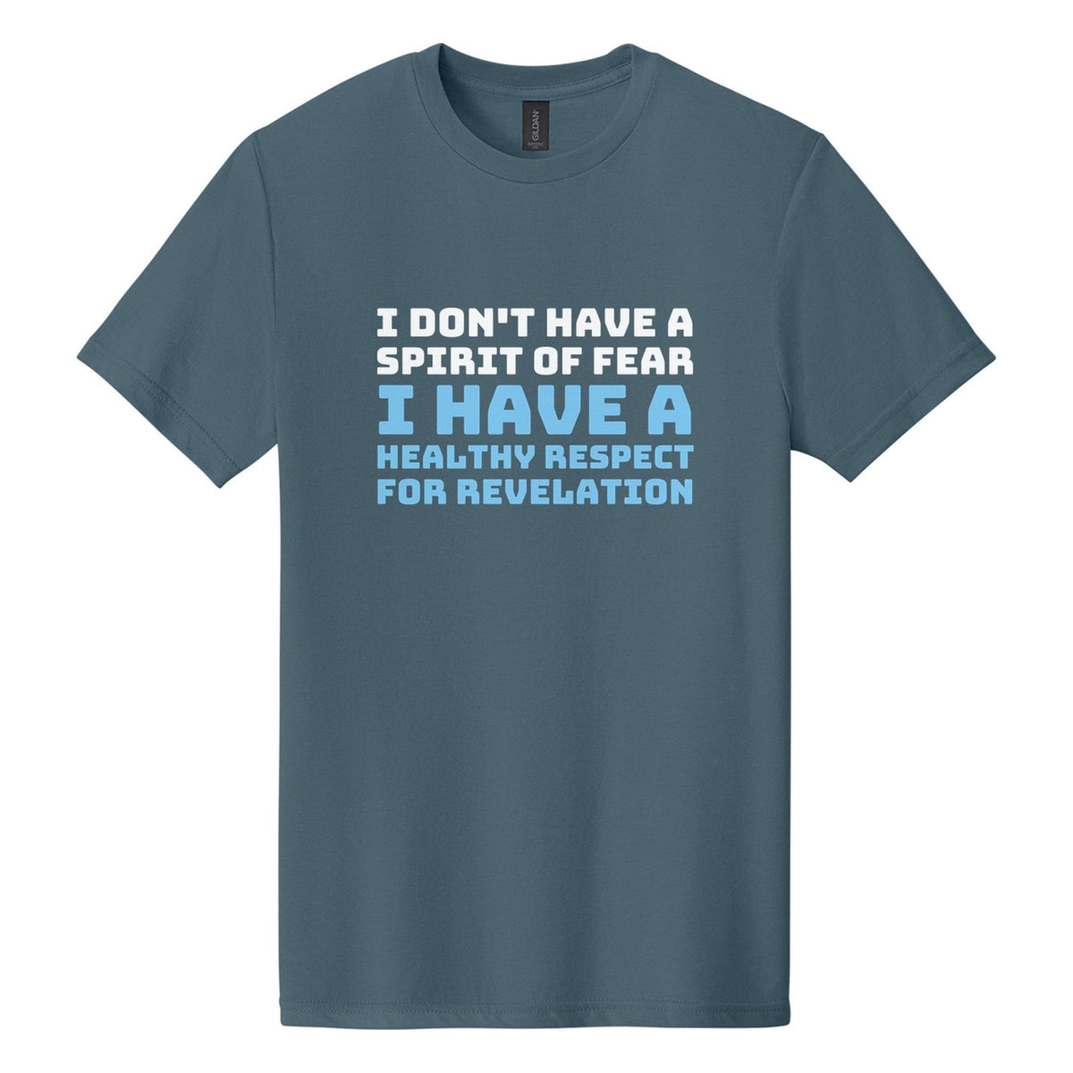 I Don't Have a Spirit of Fear. I Have a Healthy Respect for Revelation tee in Steel Blue, Bungee font, White + Sky Blue ink