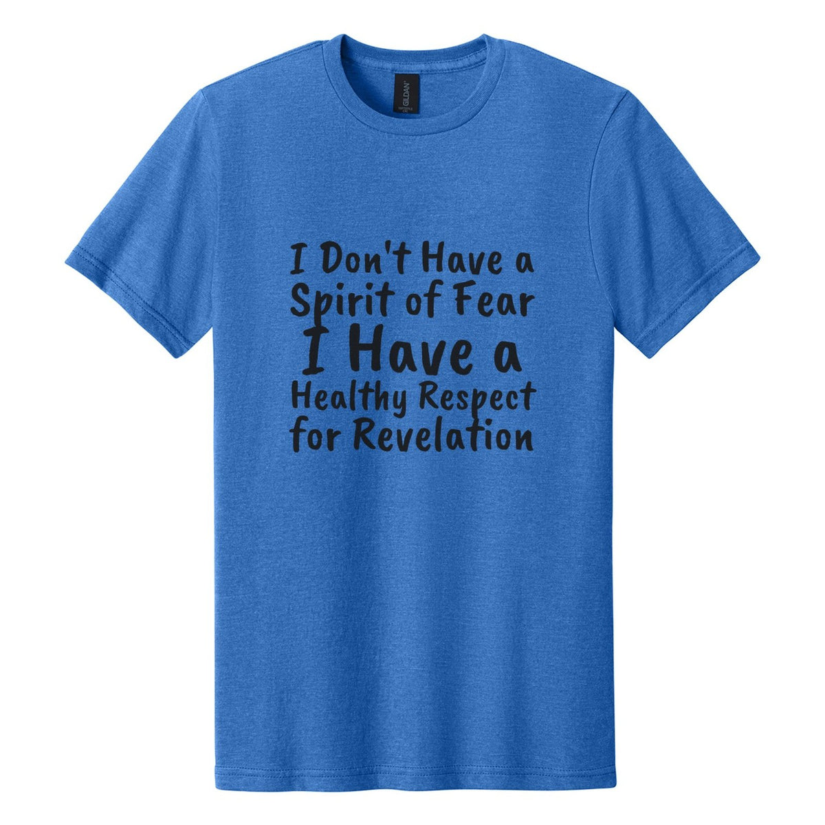 I Don't Have a Spirit of Fear. I Have a Healthy Respect for Revelation tee in Royal Mist, Caveat Brush font, Black ink