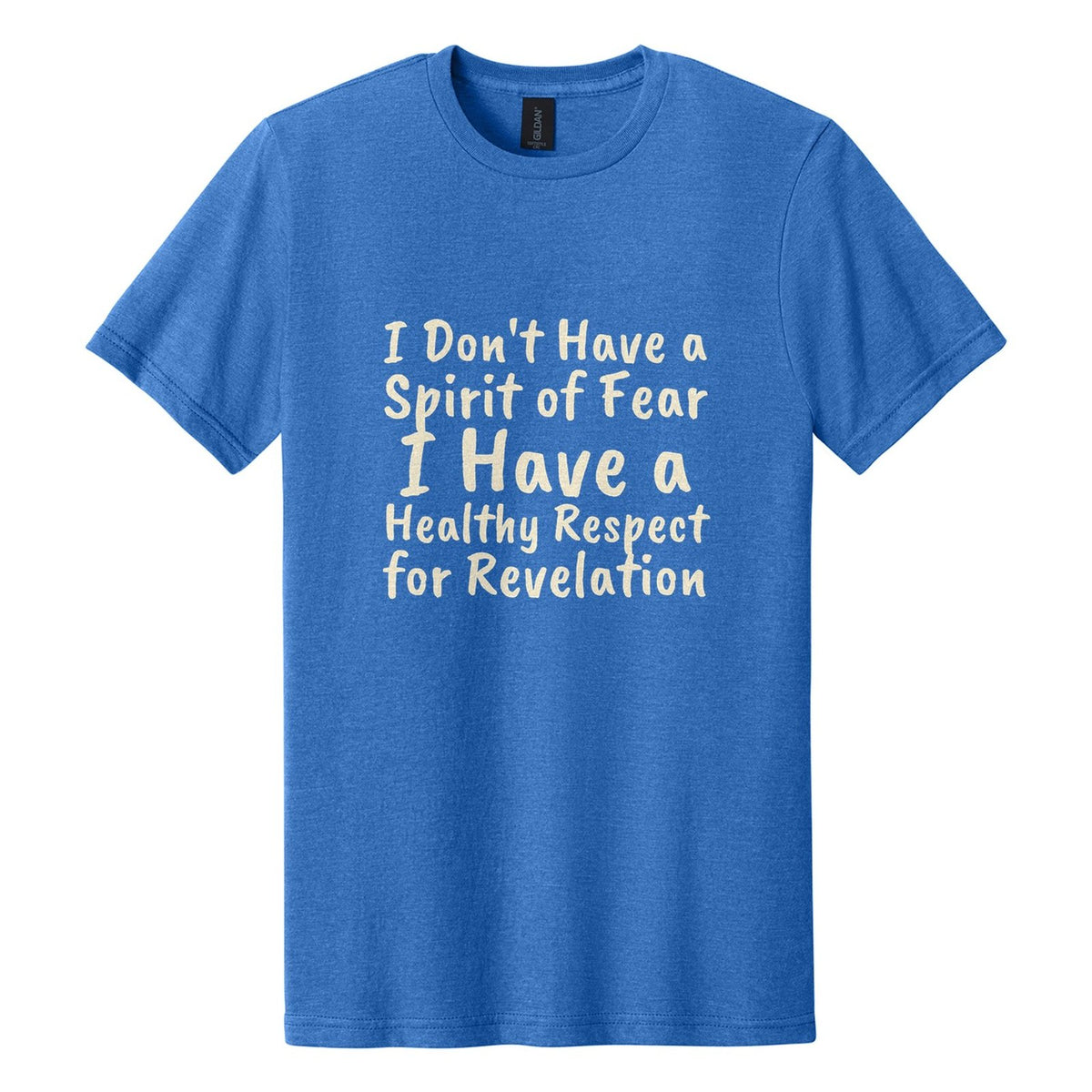 I Don't Have a Spirit of Fear. I Have a Healthy Respect for Revelation tee in Royal Mist, Caveat Brush font, Cream ink