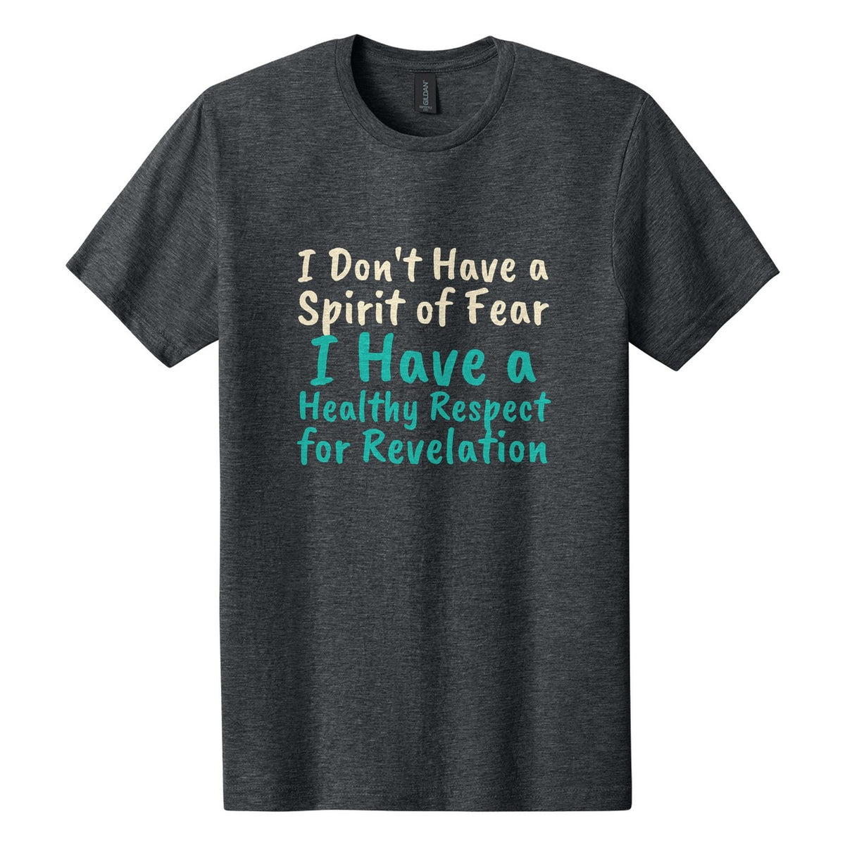 I Don't Have a Spirit of Fear. I Have a Healthy Respect for Revelation tee in Dark Heather, Caveat Brush font, Cream + Teal ink