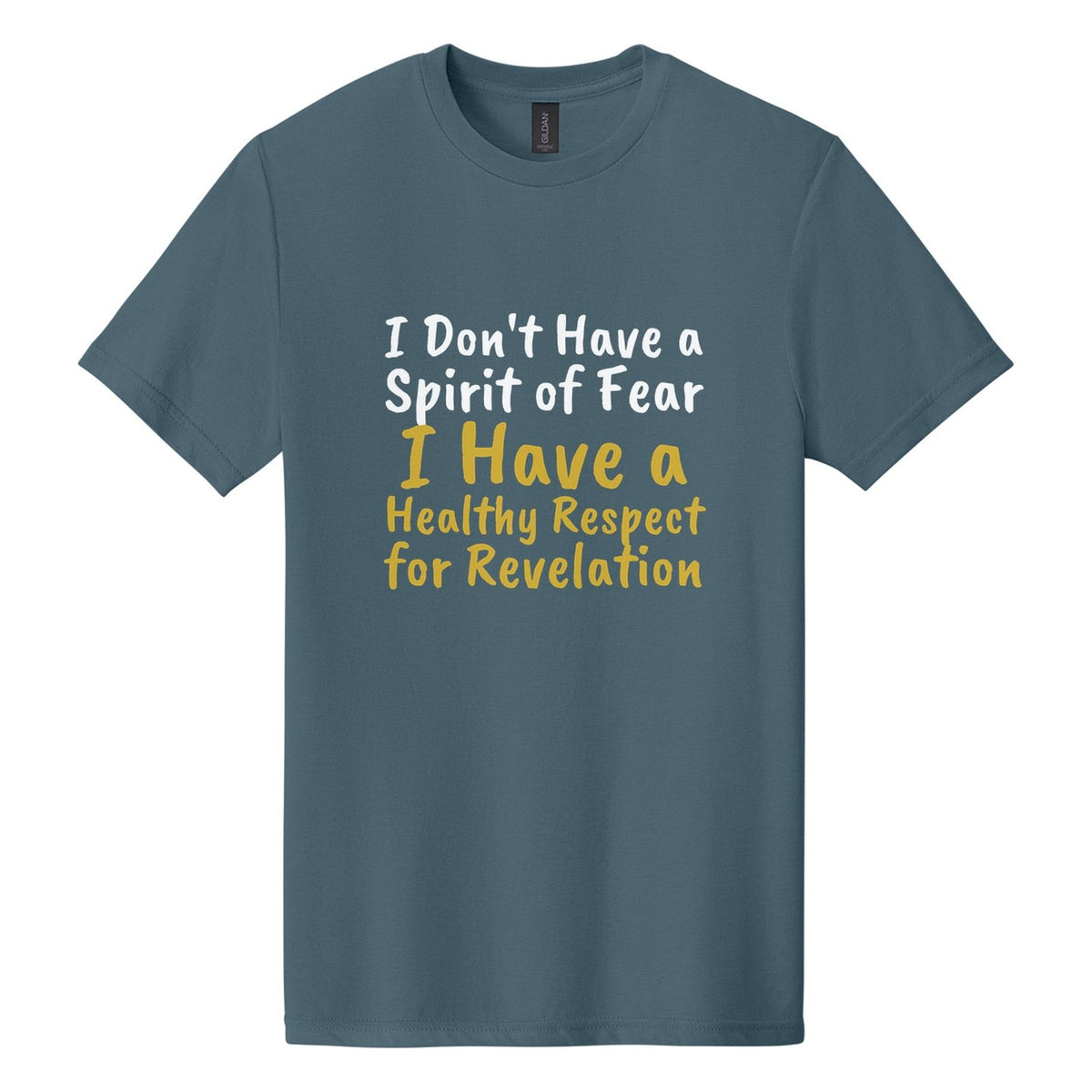 I Don't Have a Spirit of Fear. I Have a Healthy Respect for Revelation tee in Steel Blue, Caveat Brush font, White + Metallic Gold ink