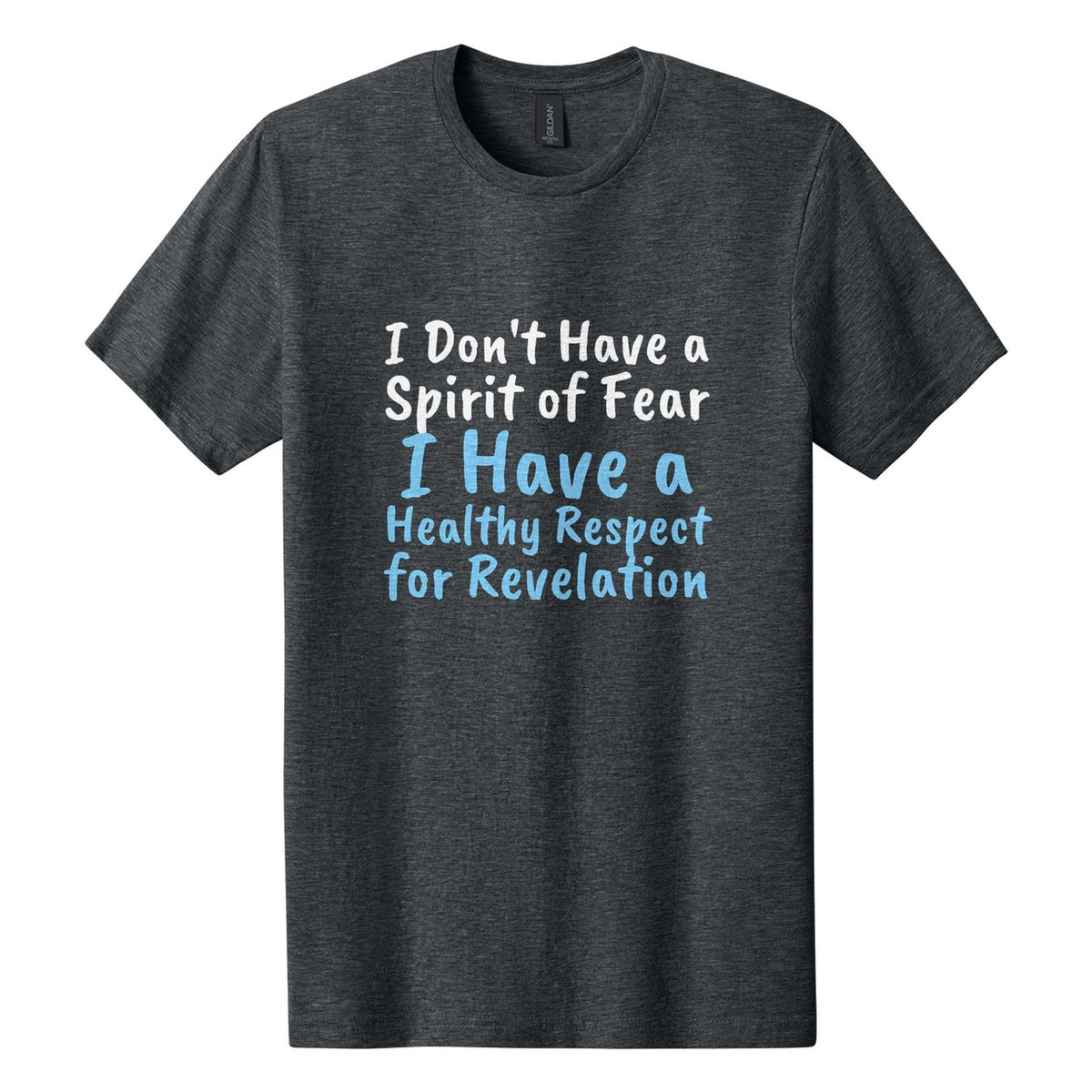 I Don't Have a Spirit of Fear. I Have a Healthy Respect for Revelation tee in Dark Heather, Caveat Brush font, White + Sky Blue ink