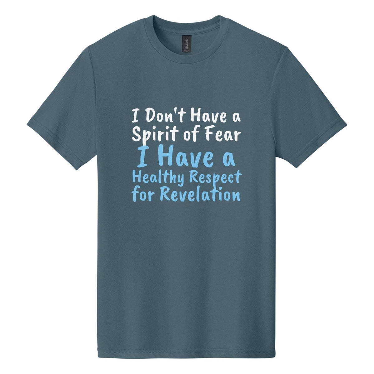 I Don't Have a Spirit of Fear. I Have a Healthy Respect for Revelation tee in Steel Blue, Caveat Brush font, White + Sky Blue ink