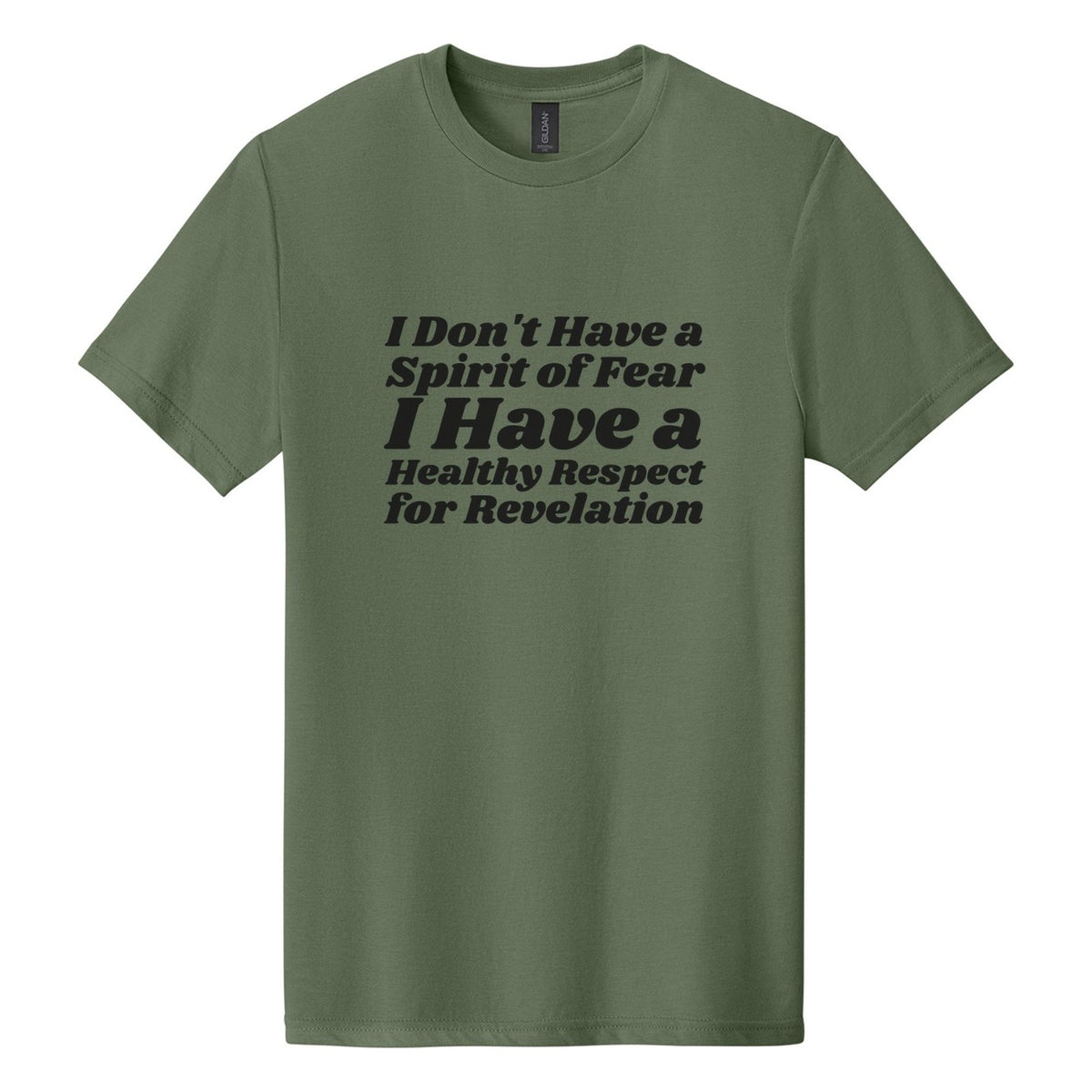I Don't Have a Spirit of Fear. I Have a Healthy Respect for Revelation tee in Cactus, Shrikhand font, Black ink