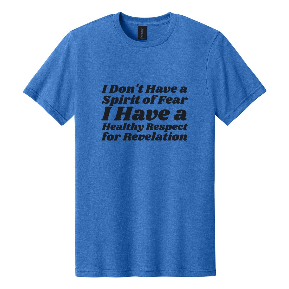 I Don't Have a Spirit of Fear. I Have a Healthy Respect for Revelation tee in Royal Mist, Shrikhand font, Black ink