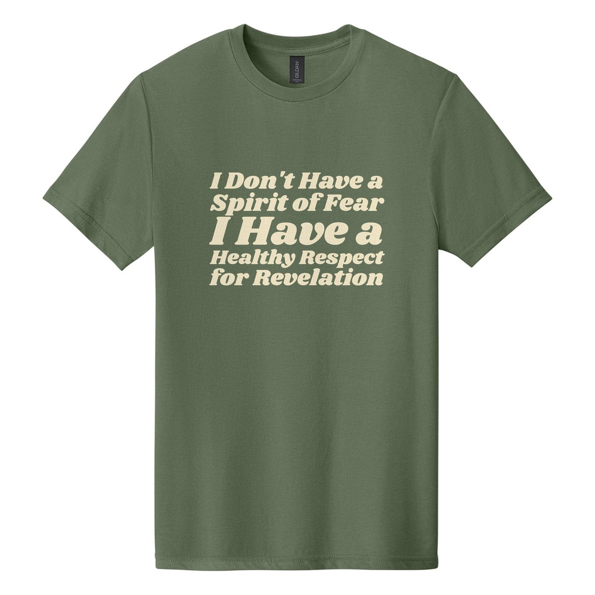 I Don't Have a Spirit of Fear. I Have a Healthy Respect for Revelation tee in Cactus, Shrikhand font, Cream ink