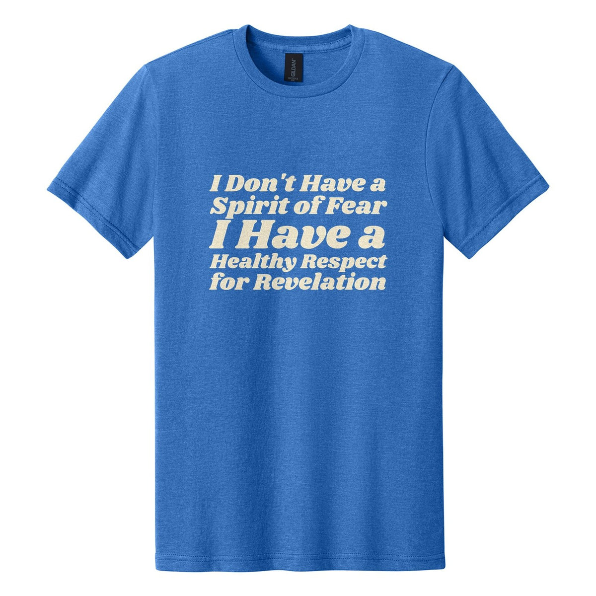 I Don't Have a Spirit of Fear. I Have a Healthy Respect for Revelation tee in Royal Mist, Shrikhand font, Cream ink