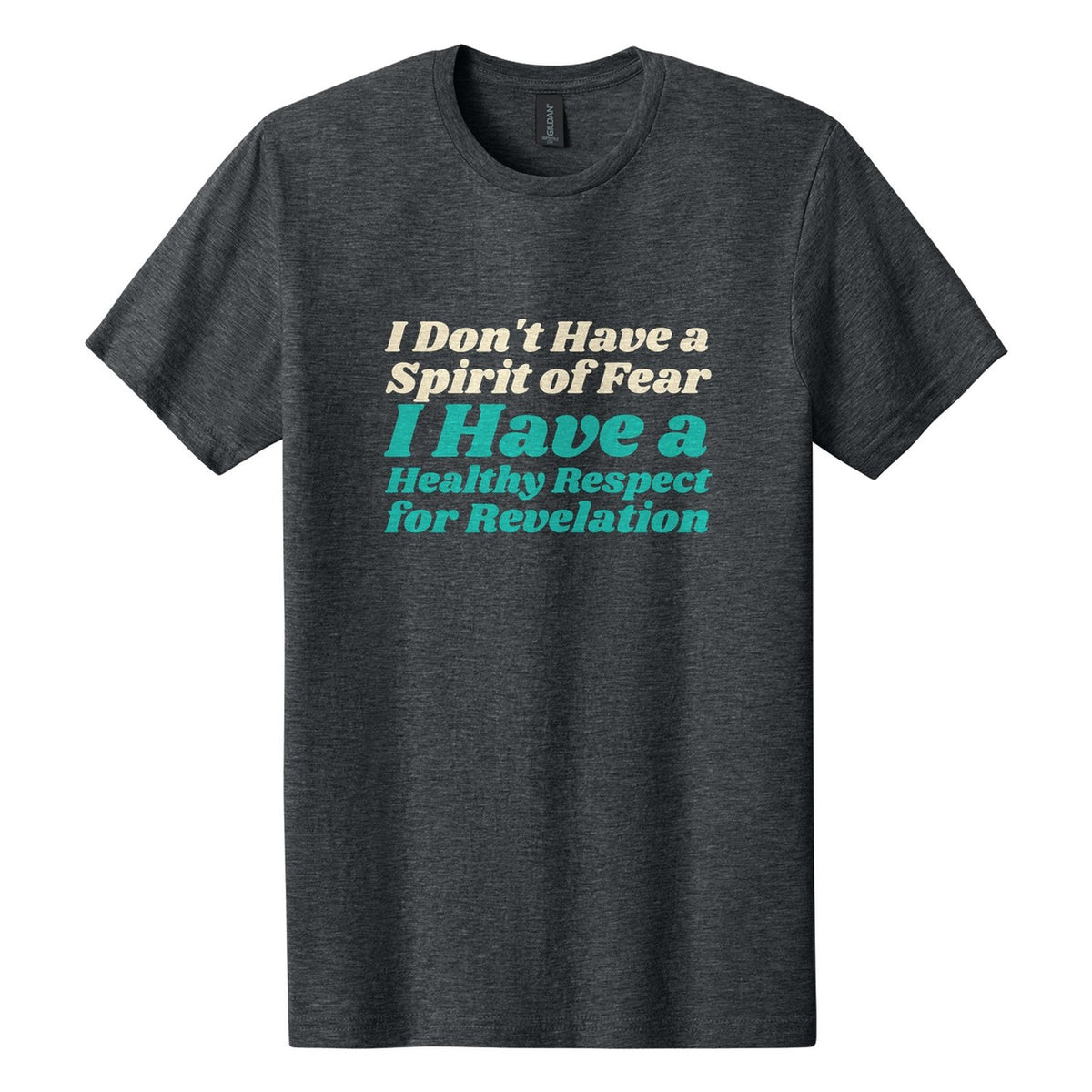 I Don't Have a Spirit of Fear. I Have a Healthy Respect for Revelation tee in Dark Heather, Shrikhand font, Cream + Teal ink