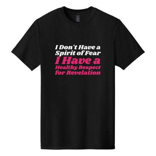 I Don't Have a Spirit of Fear. I Have a Healthy Respect for Revelation tee in Pitch Black, Shrikhand font, White + Hot Pink ink