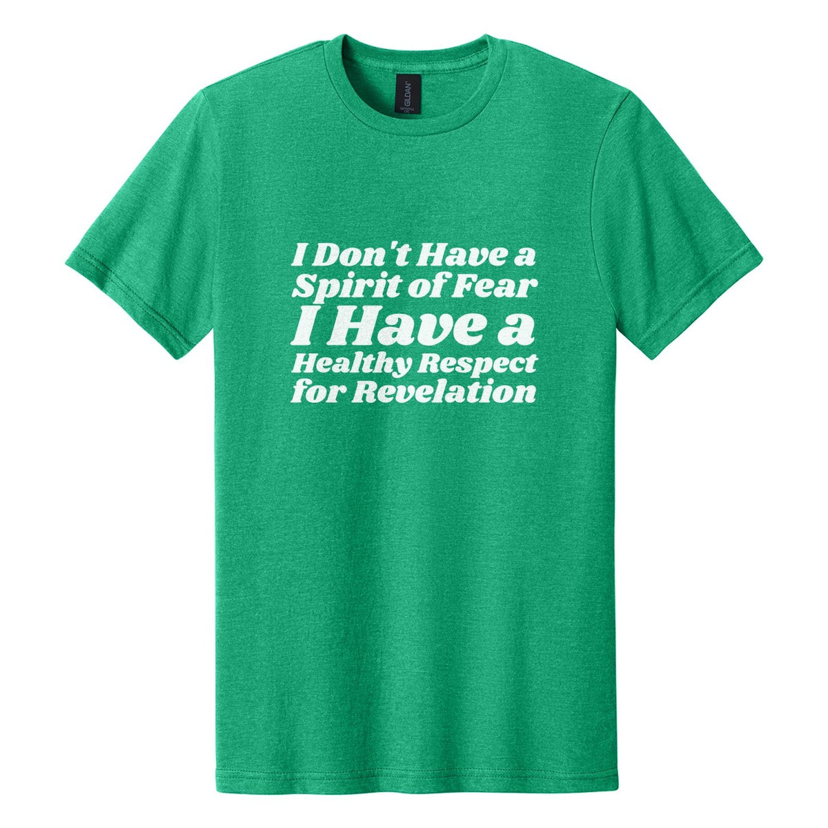 I Don't Have a Spirit of Fear. I Have a Healthy Respect for Revelation tee in Kelly Mist, Shrikhand font, White ink