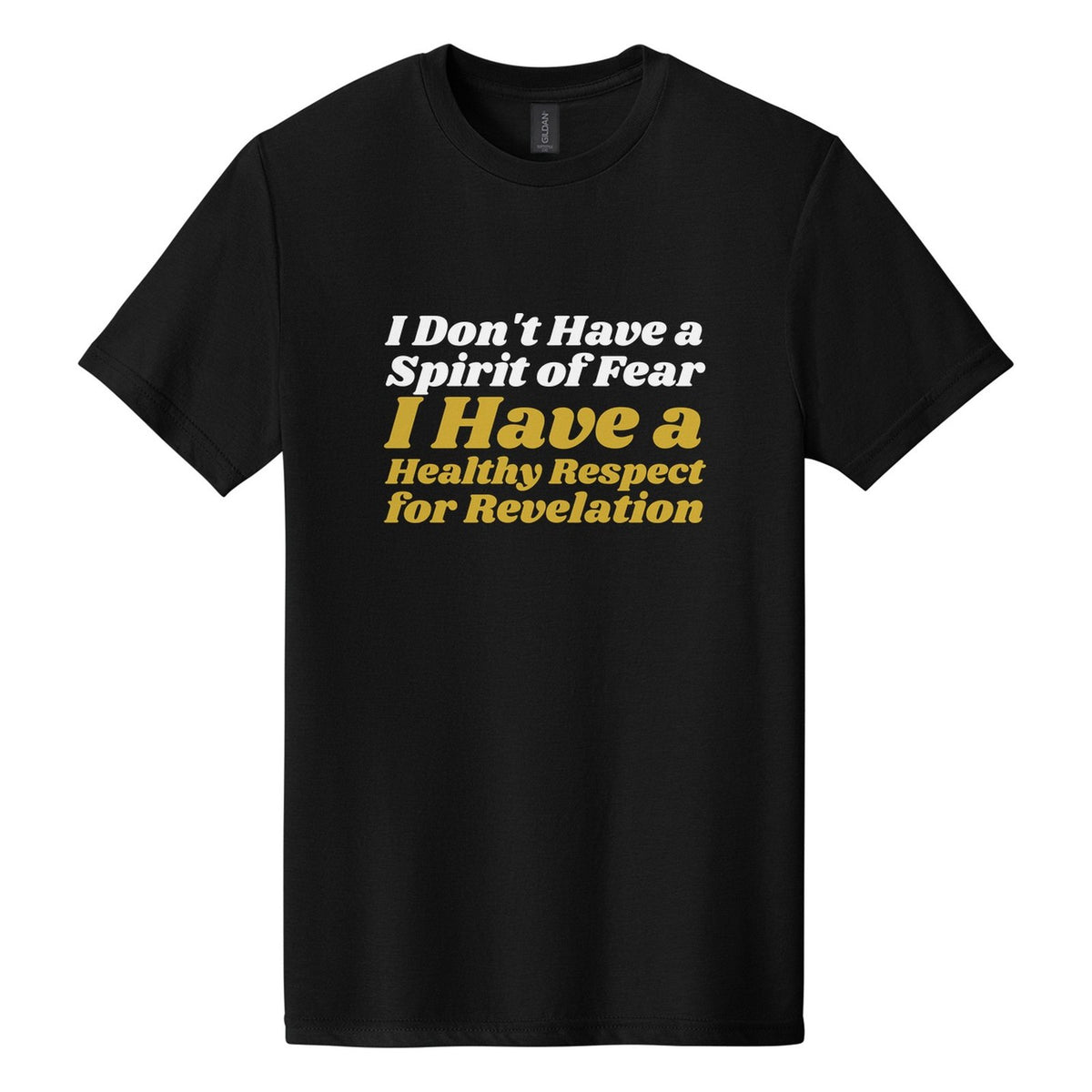 I Don't Have a Spirit of Fear. I Have a Healthy Respect for Revelation tee in Pitch Black, Shrikhand font, White + Metallic Gold ink
