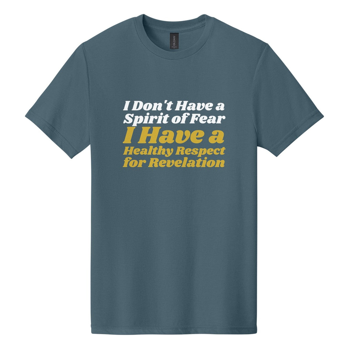 I Don't Have a Spirit of Fear. I Have a Healthy Respect for Revelation tee in Steel Blue, Shrikhand font, White + Metallic Gold ink