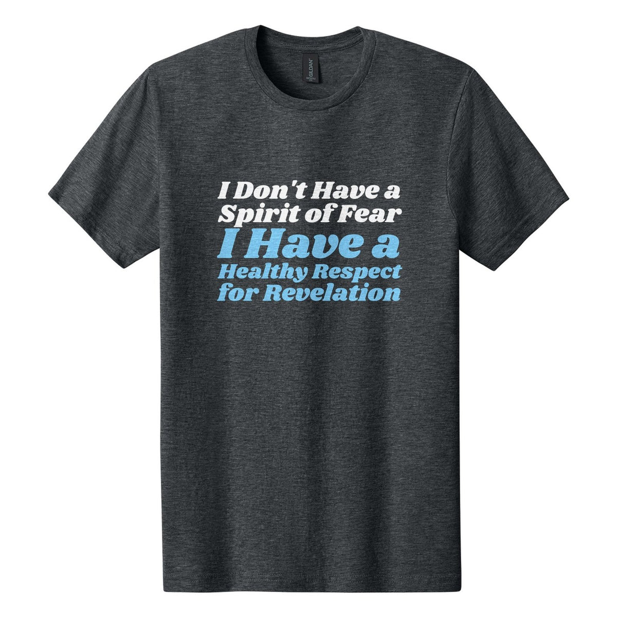 I Don't Have a Spirit of Fear. I Have a Healthy Respect for Revelation tee in Dark Heather, Shrikhand font, White + Sky Blue ink