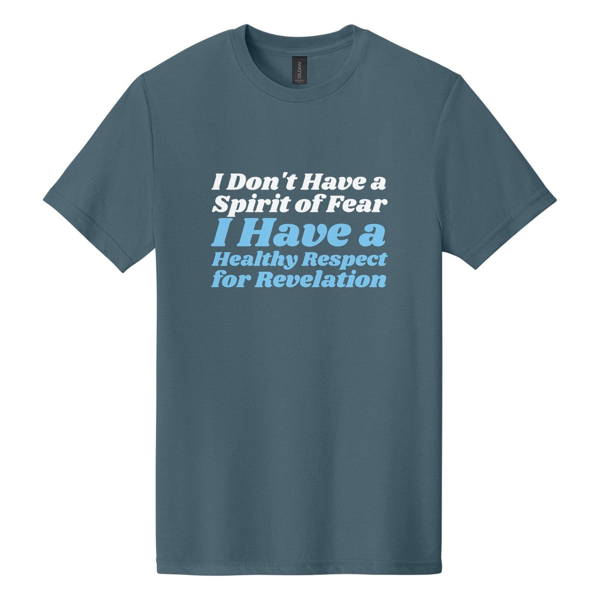 I Don't Have a Spirit of Fear. I Have a Healthy Respect for Revelation tee in Steel Blue, Shrikhand font, White + Sky Blue ink