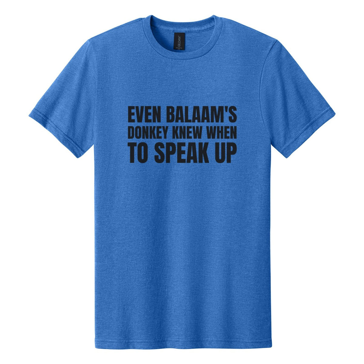 Even Balaam's Donkey Knew When to Speak Up tee in Royal Mist, Anton font, Black ink