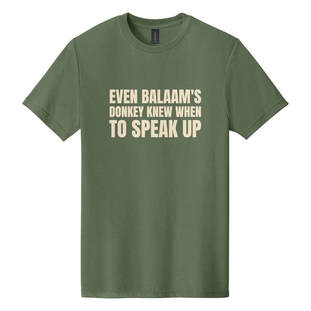 Even Balaam's Donkey Knew When to Speak Up tee in Cactus, Anton font, Cream ink