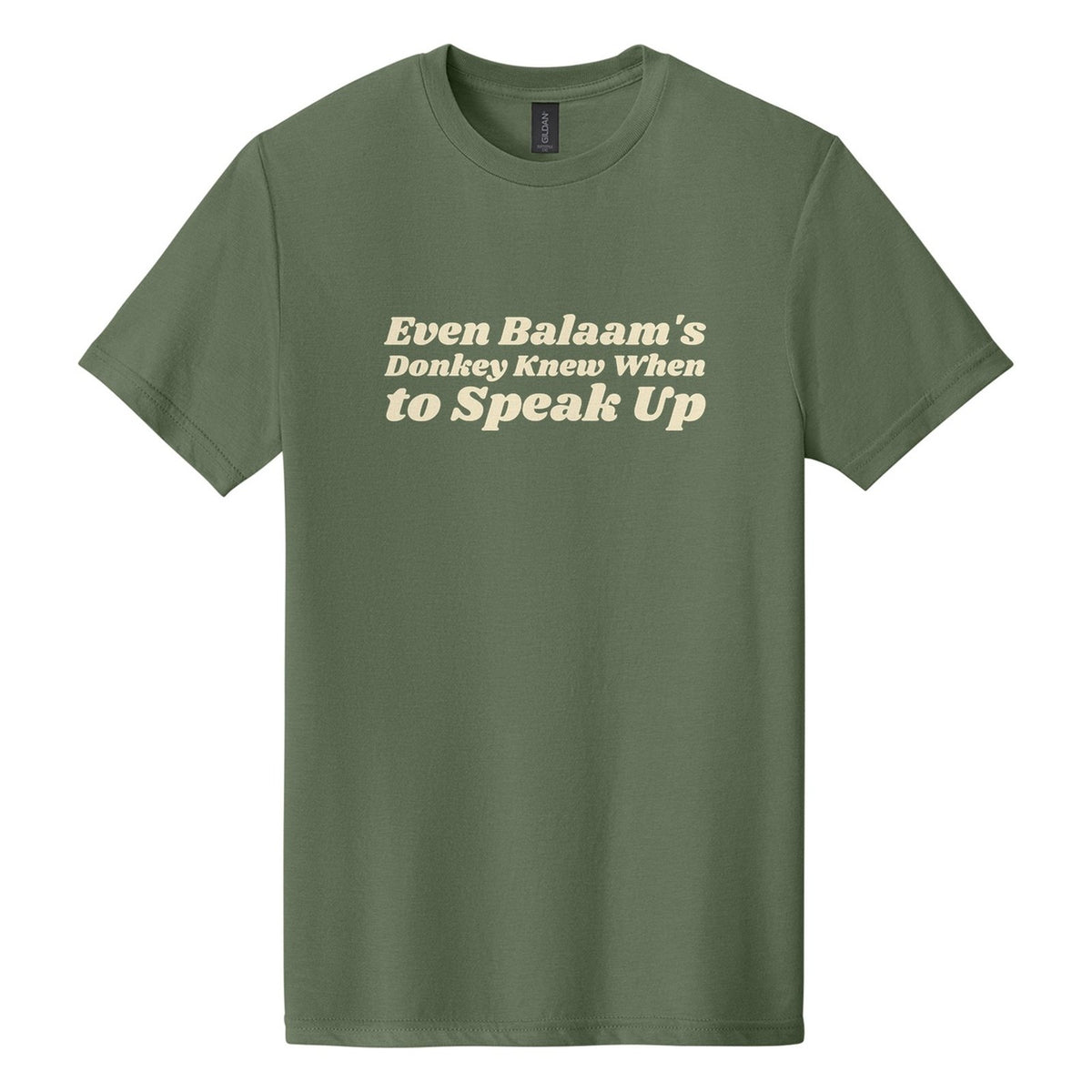 Even Balaam's Donkey Knew When to Speak Up tee in Cactus, Shrikhand font, Cream ink