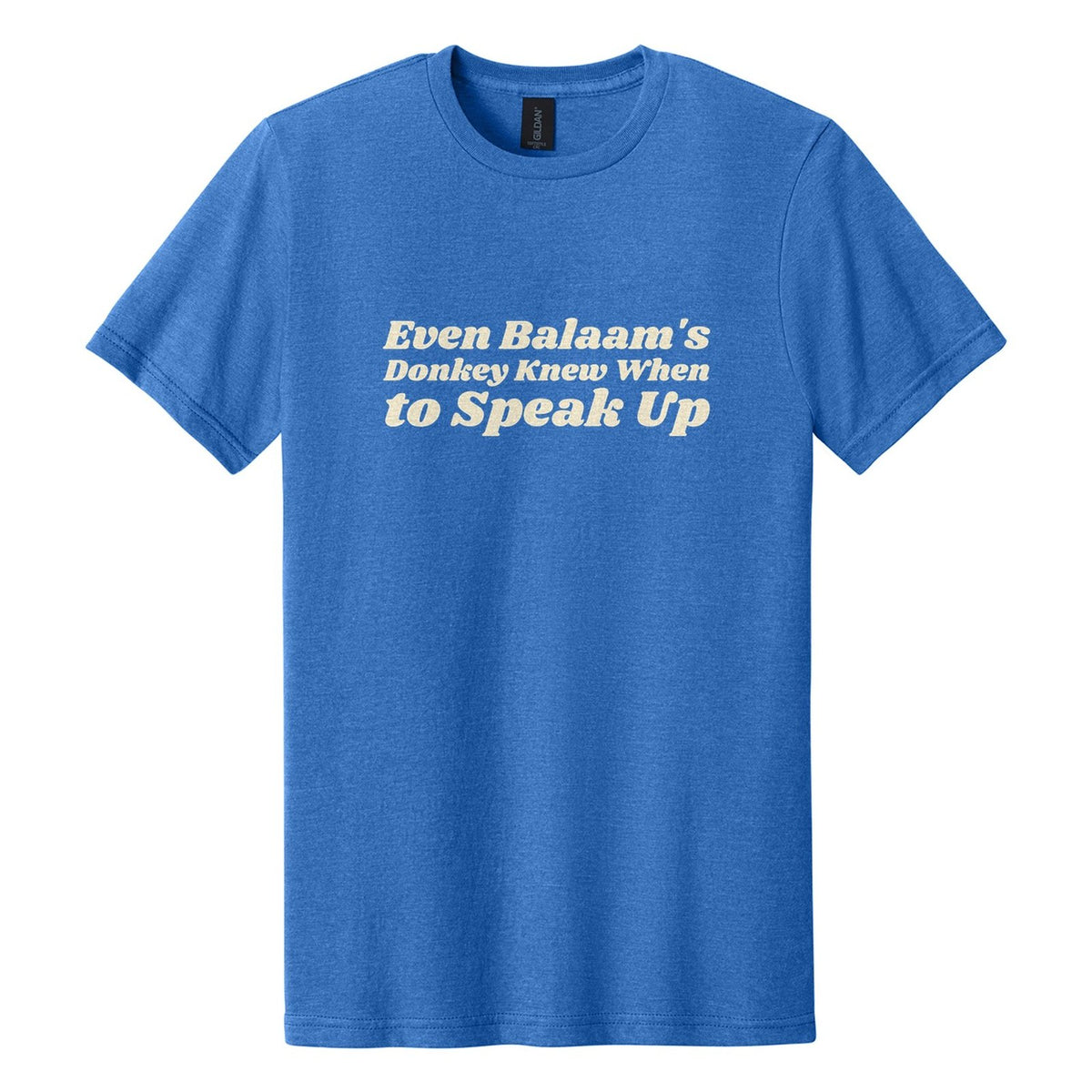 Even Balaam's Donkey Knew When to Speak Up tee in Royal Mist, Shrikhand font, Cream ink