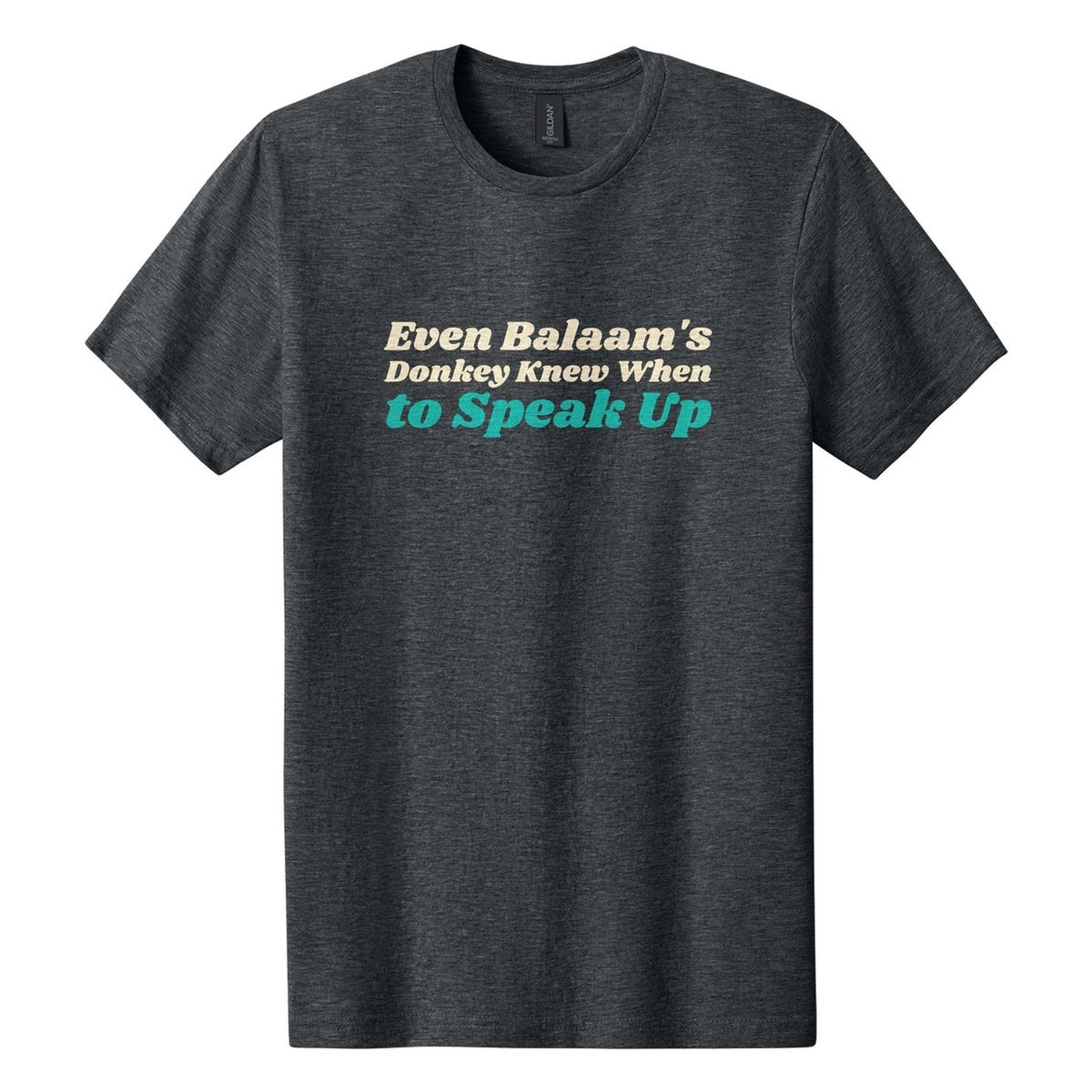 Even Balaam's Donkey Knew When to Speak Up tee in Dark Heather, Shrikhand font, Cream + Teal ink