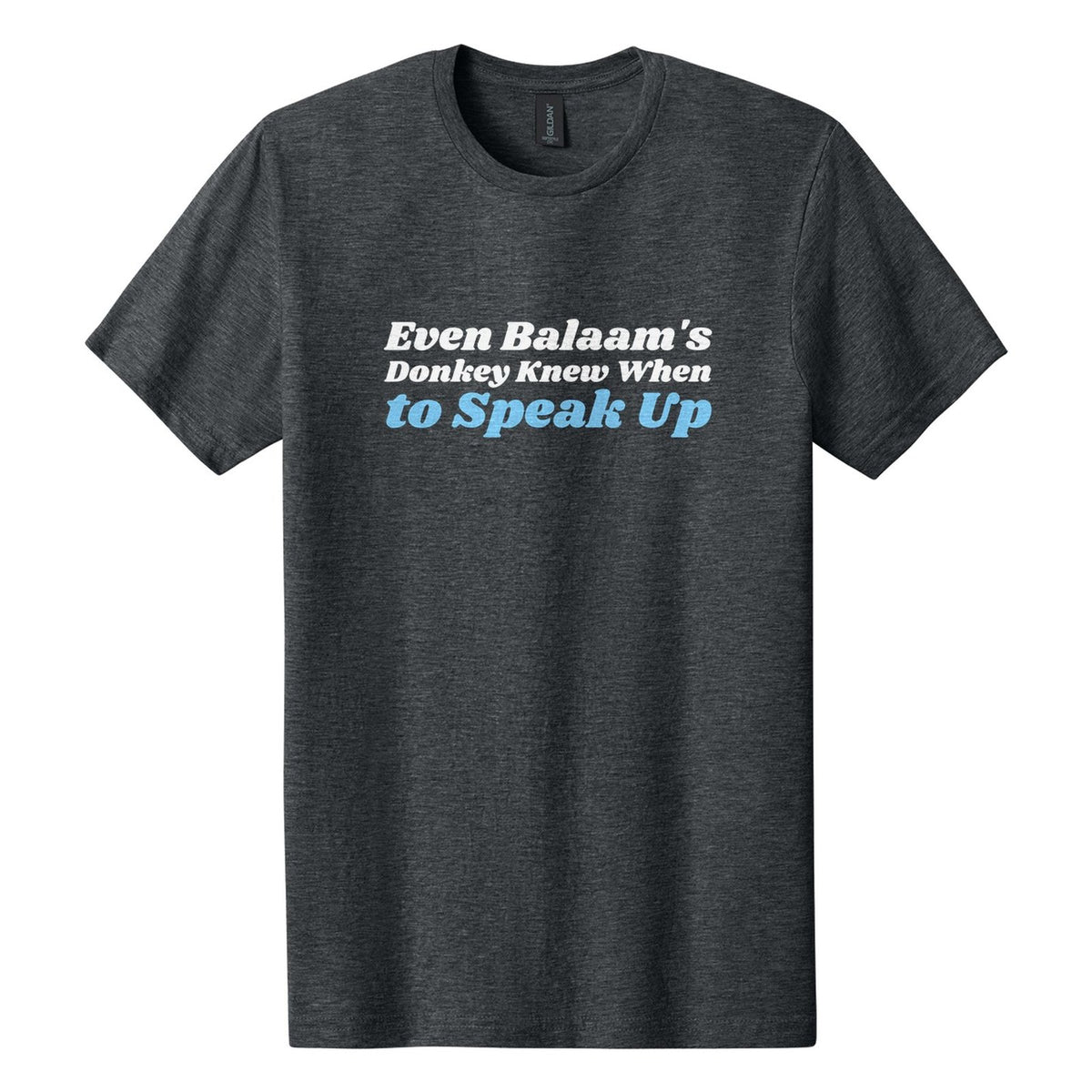 Even Balaam's Donkey Knew When to Speak Up tee in Dark Heather, Shrikhand font, White + Sky Blue ink