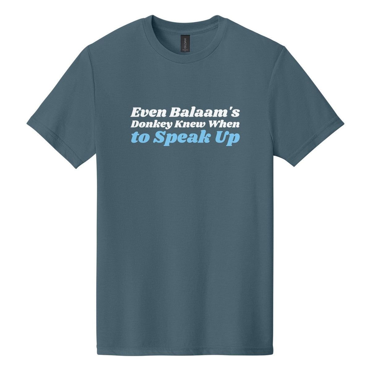 Even Balaam's Donkey Knew When to Speak Up tee in Steel Blue, Shrikhand font, White + Sky Blue ink