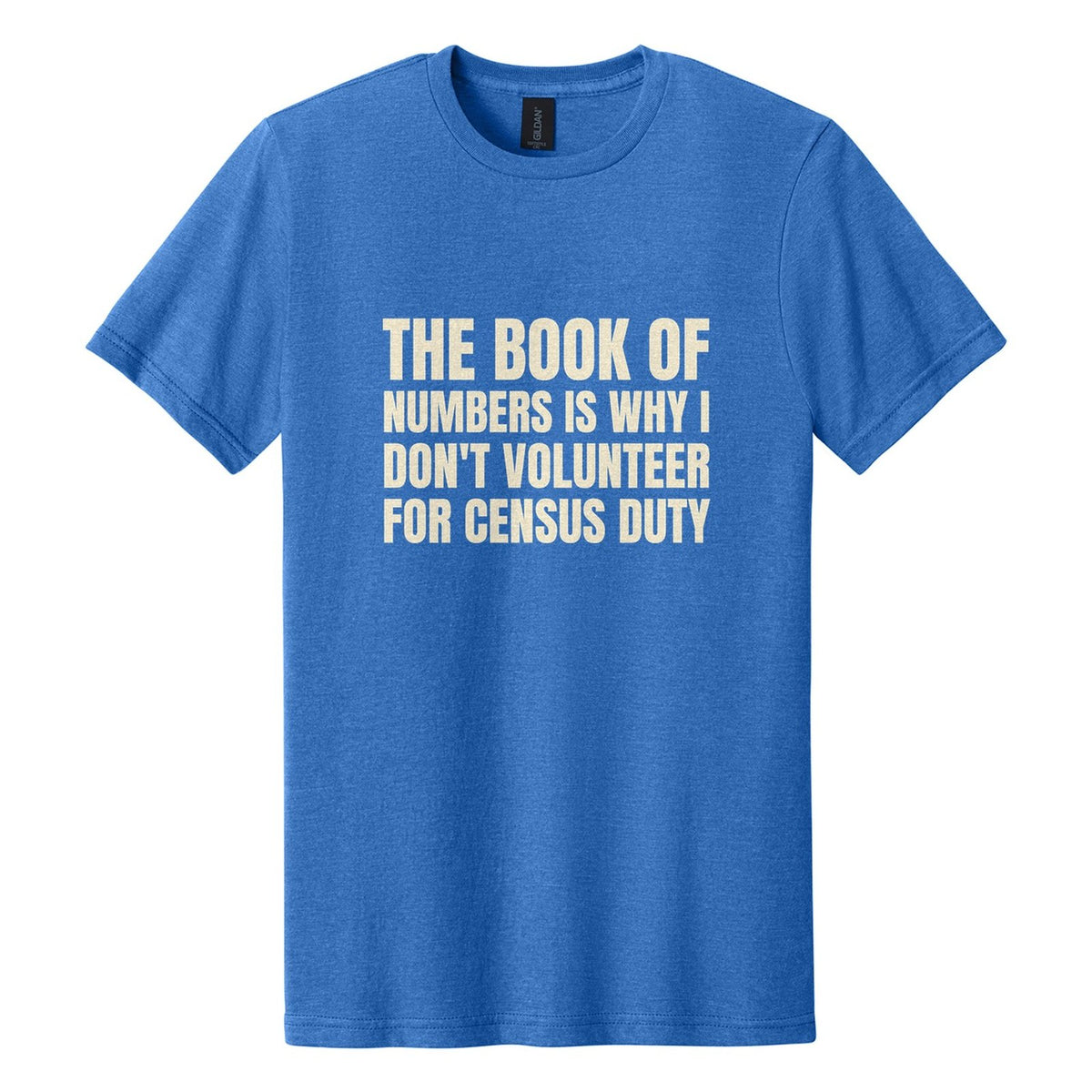 The Book of Numbers Is Why I Don't Volunteer for Census Duty tee in Royal Mist, Anton font, Cream ink