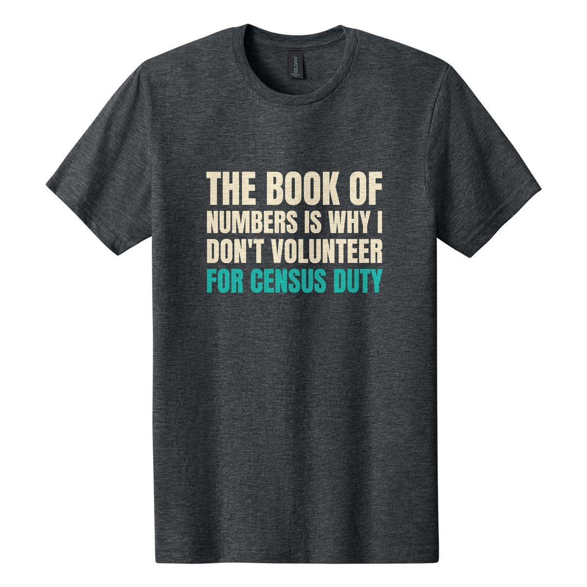 The Book of Numbers Is Why I Don't Volunteer for Census Duty tee in Dark Heather, Anton font, Cream + Teal ink