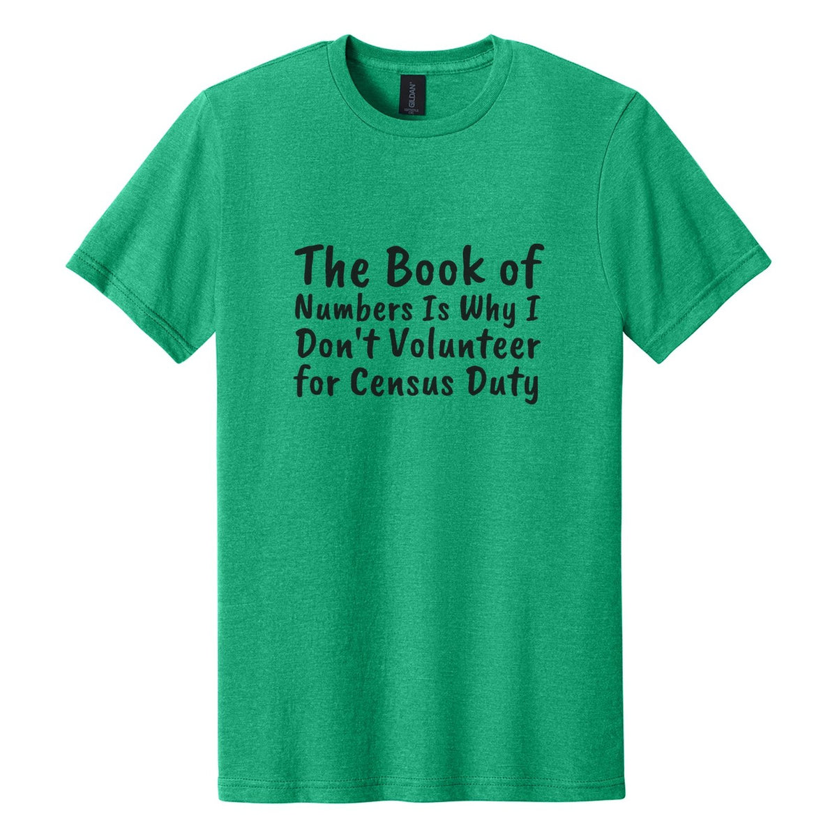 The Book of Numbers Is Why I Don't Volunteer for Census Duty tee in Kelly Mist, Caveat Brush font, Black ink