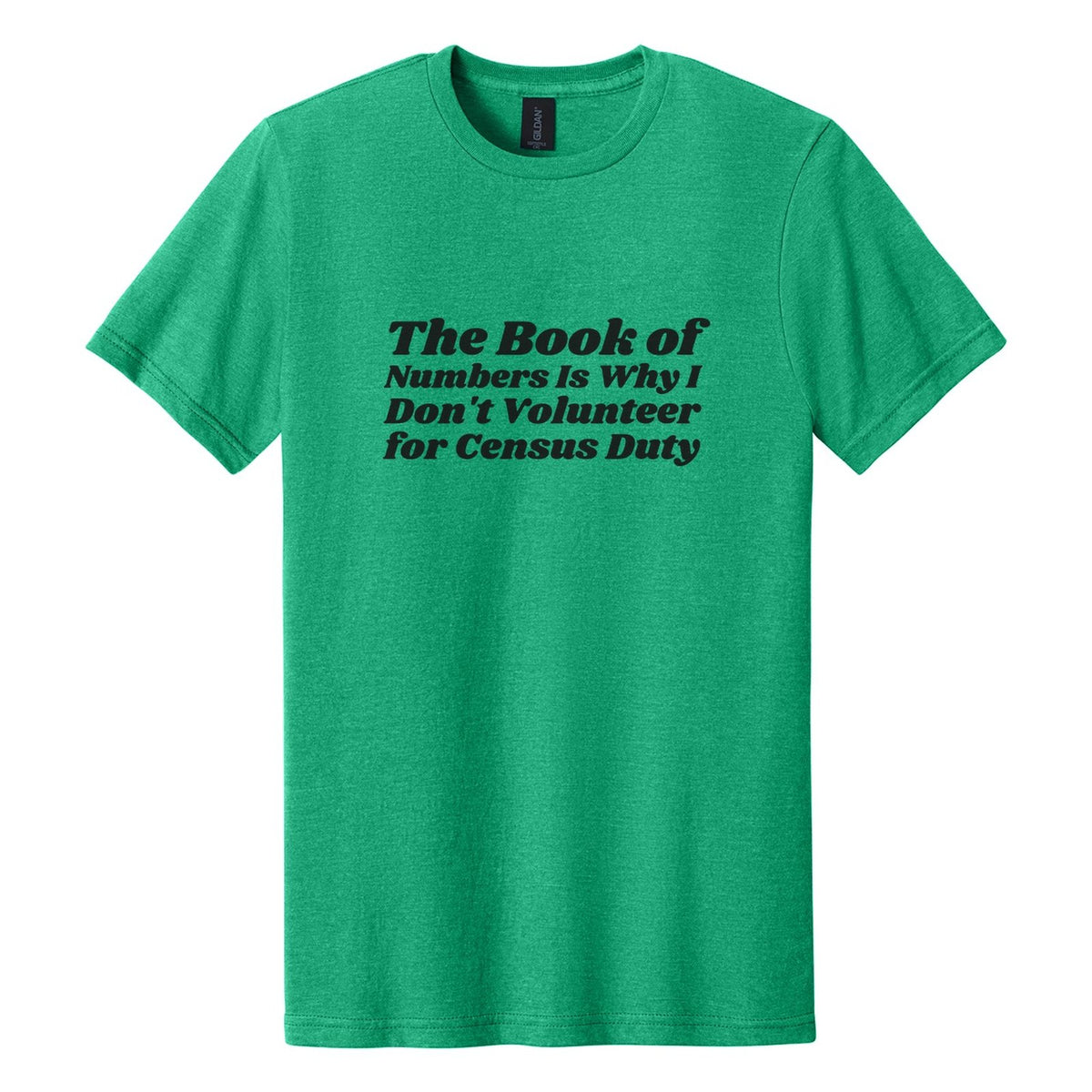 The Book of Numbers Is Why I Don't Volunteer for Census Duty tee in Kelly Mist, Shrikhand font, Black ink