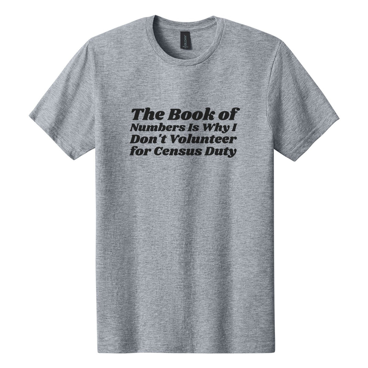 The Book of Numbers Is Why I Don't Volunteer for Census Duty tee in Ring Spun Sport Grey, Shrikhand font, Black ink