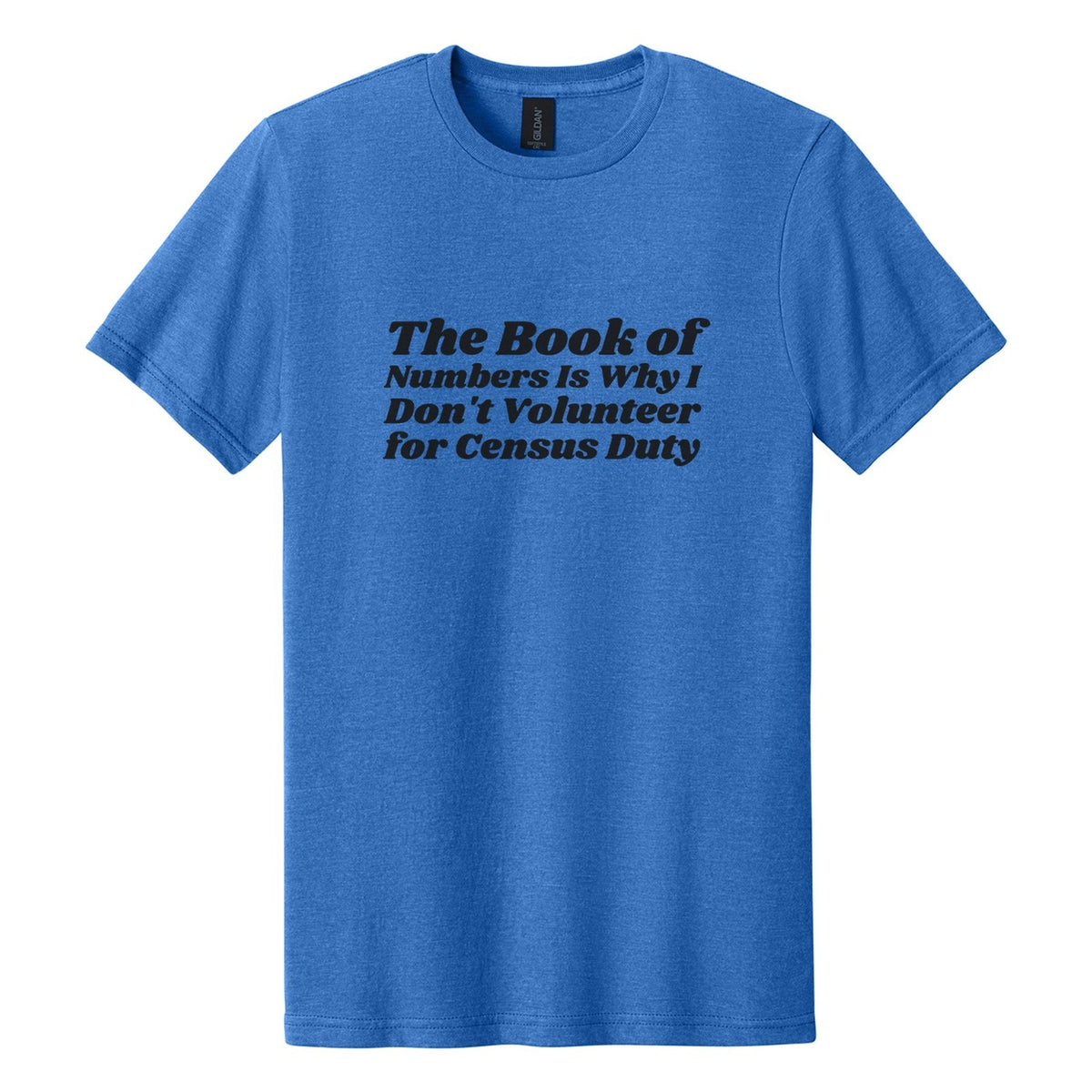 The Book of Numbers Is Why I Don't Volunteer for Census Duty tee in Royal Mist, Shrikhand font, Black ink