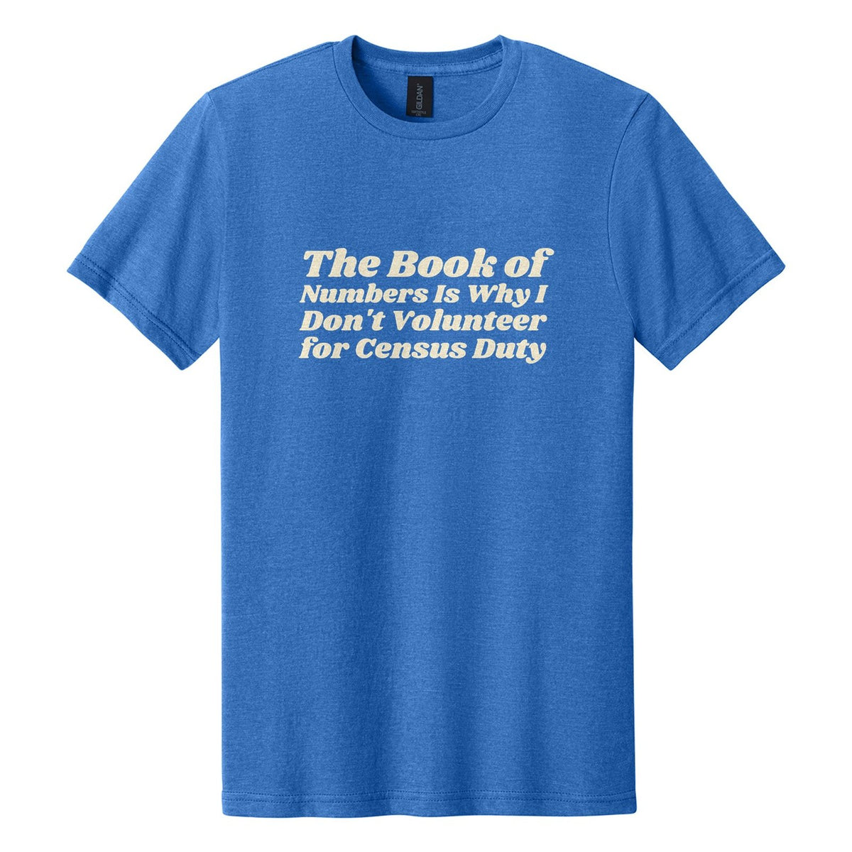 The Book of Numbers Is Why I Don't Volunteer for Census Duty tee in Royal Mist, Shrikhand font, Cream ink