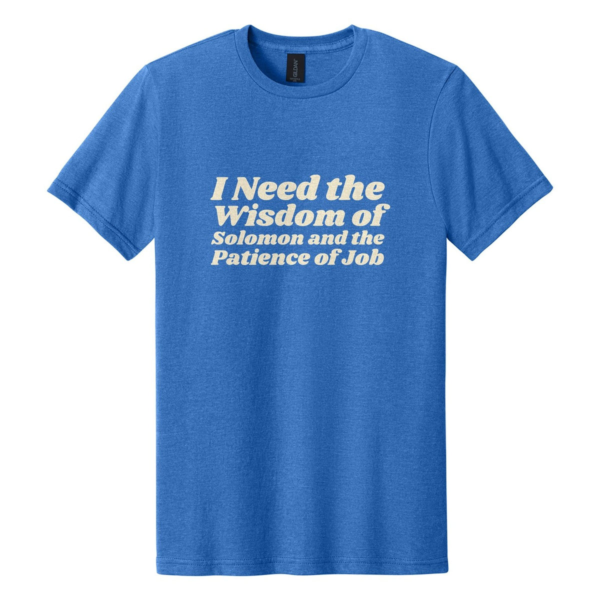 I Need the Wisdom of Solomon and the Patience of Job tee in Royal Mist, Shrikhand font, Cream ink