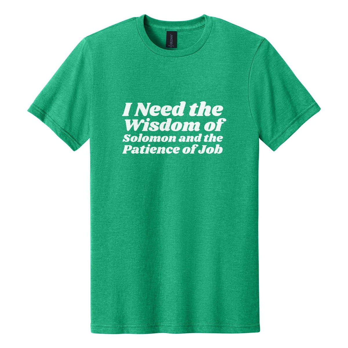 I Need the Wisdom of Solomon and the Patience of Job tee in Kelly Mist, Shrikhand font, White ink