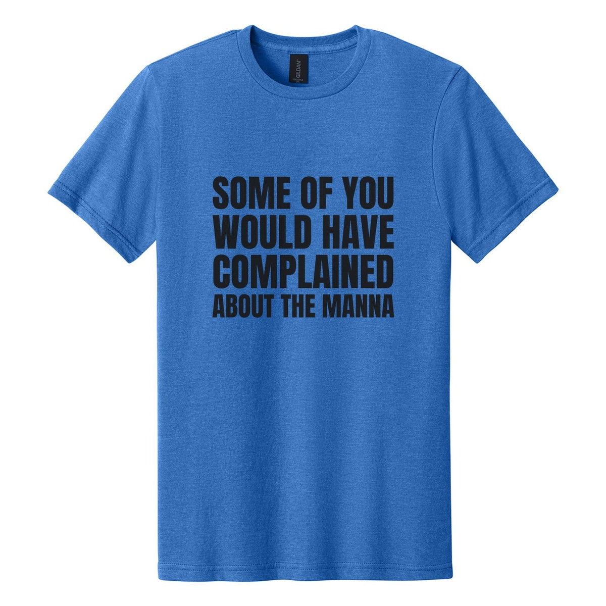 Some of You Would Have Complained About the Manna tee in Royal Mist, Anton font, Black ink