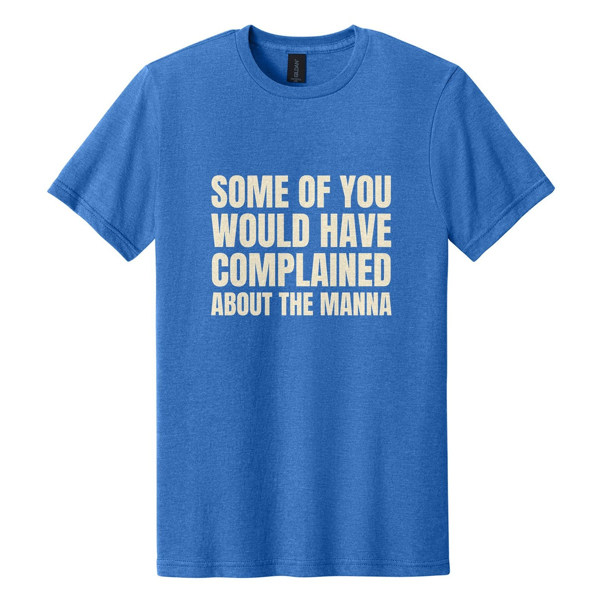 Some of You Would Have Complained About the Manna tee in Royal Mist, Anton font, Cream ink