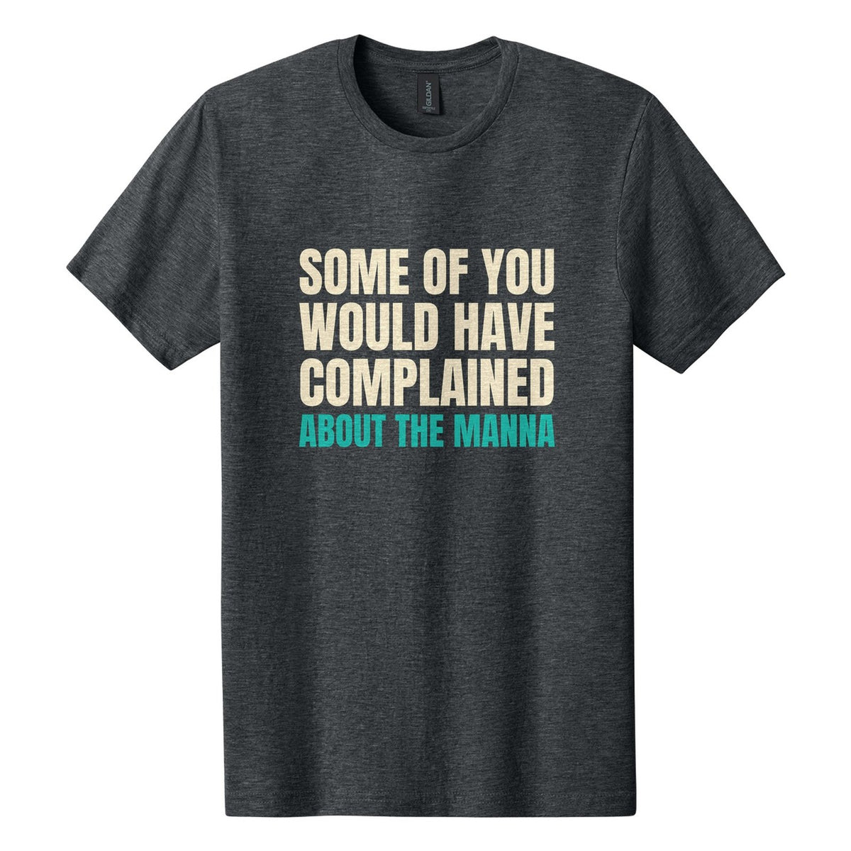 Some of You Would Have Complained About the Manna tee in Dark Heather, Anton font, Cream + Teal ink