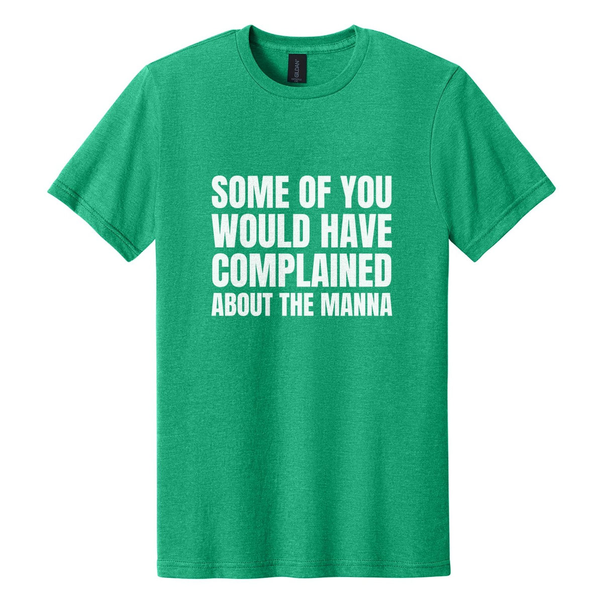 Some of You Would Have Complained About the Manna tee in Kelly Mist, Anton font, White ink