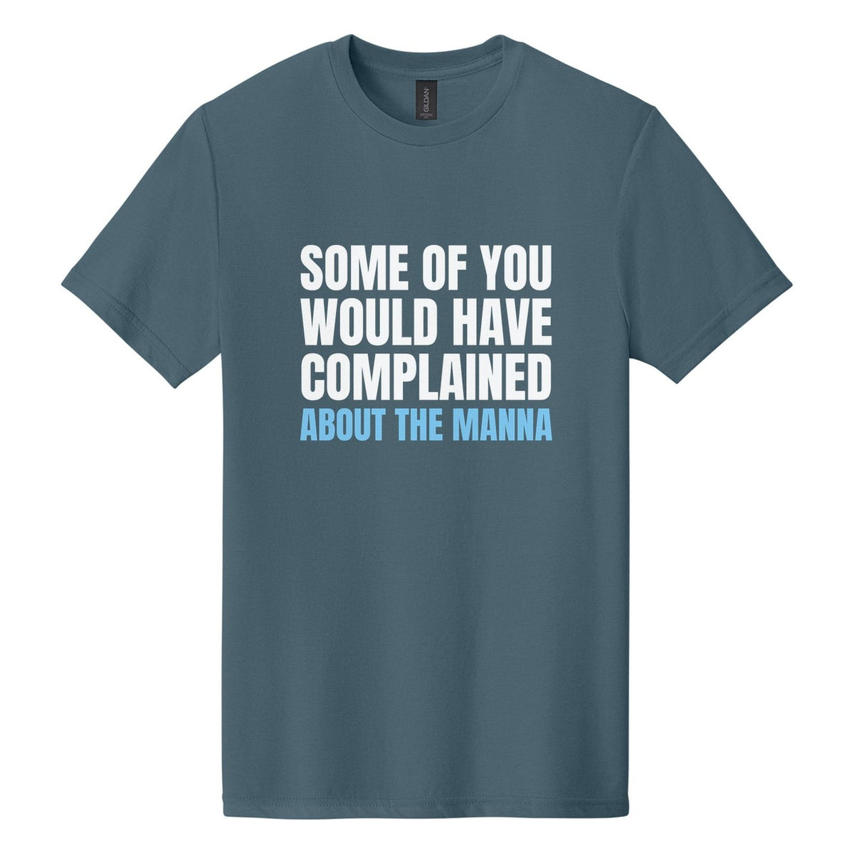 Some of You Would Have Complained About the Manna tee in Steel Blue, Anton font, White + Sky Blue ink