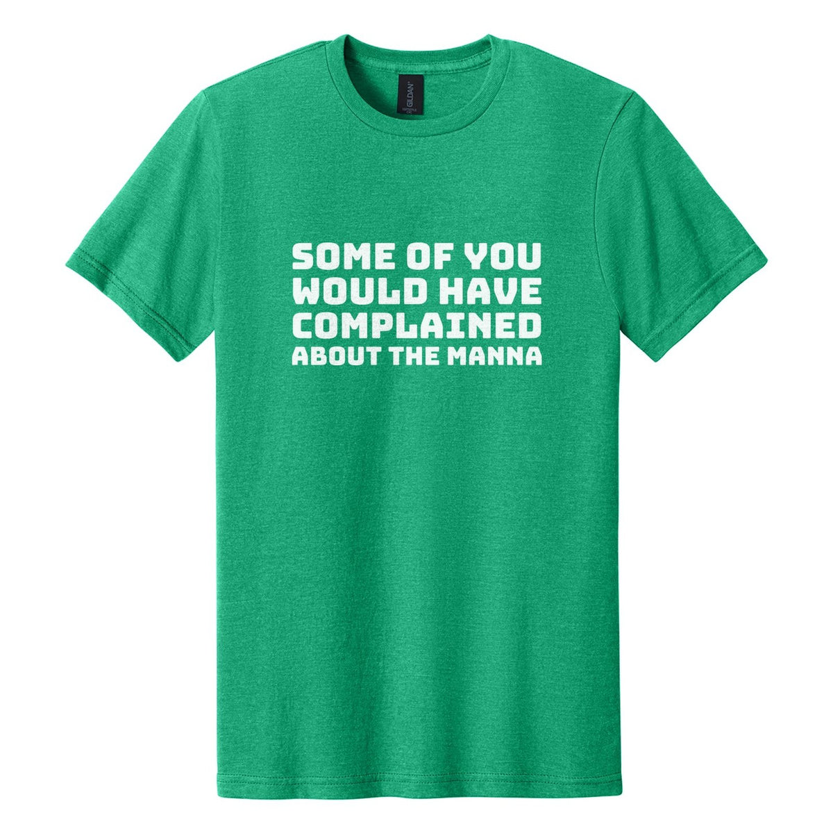 Some of You Would Have Complained About the Manna tee in Kelly Mist, Bungee font, White ink